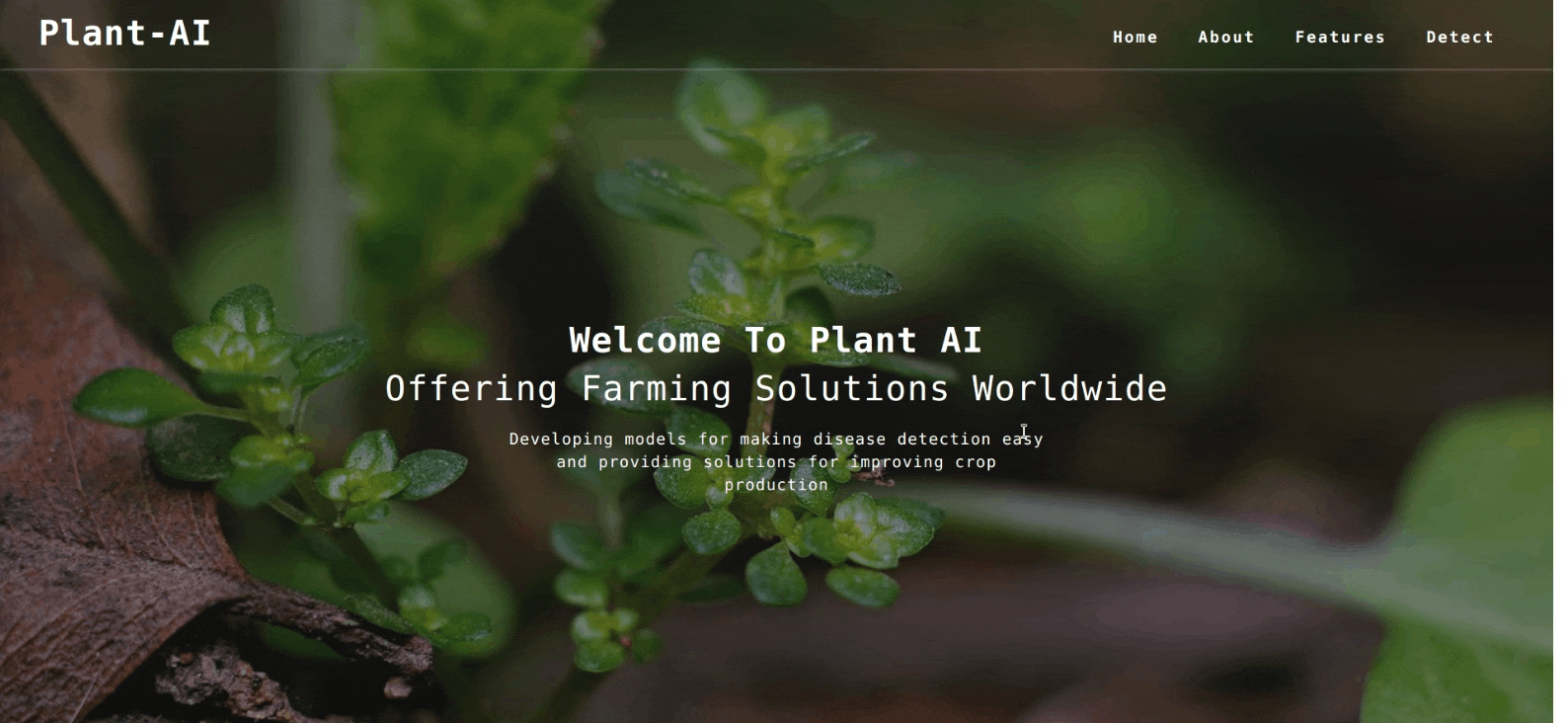 anvitha-software-developer